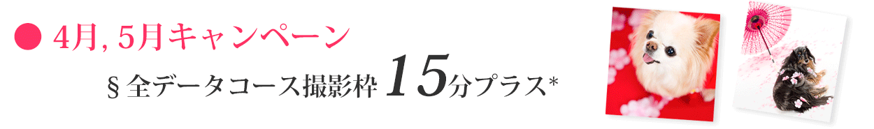 ペット撮影キャンペーン