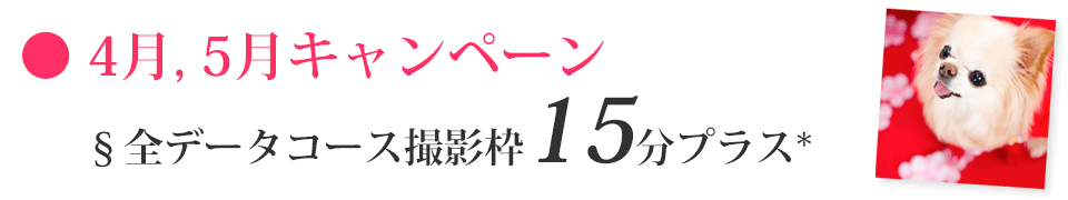 ペット撮影キャンペーン