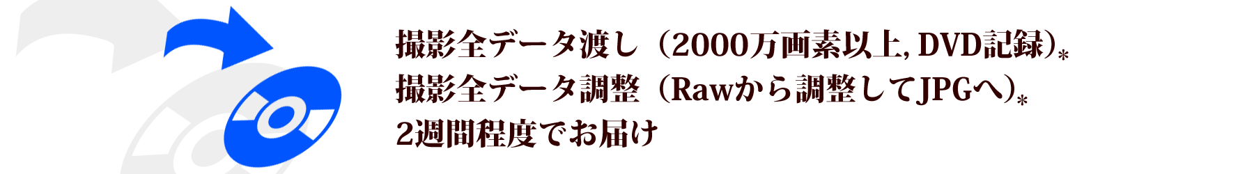 犬ペット撮影