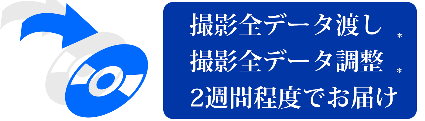 犬ペット撮影
