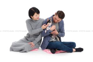 犬撮影スタジオの写真　チワワ