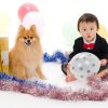 犬猫ペットご家族の写真撮影スタジオ　ポメラニアンとご家族 ／410319.studio