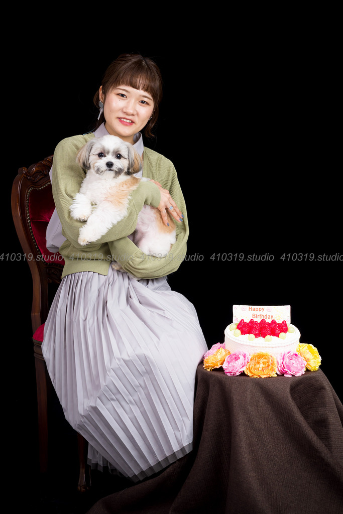 犬の写真撮影 シーズーとマルチーズのミックス犬 410319.studio