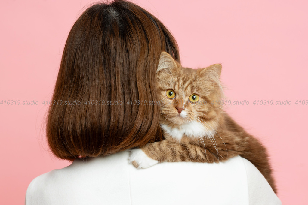 ミックス猫 410319.studio