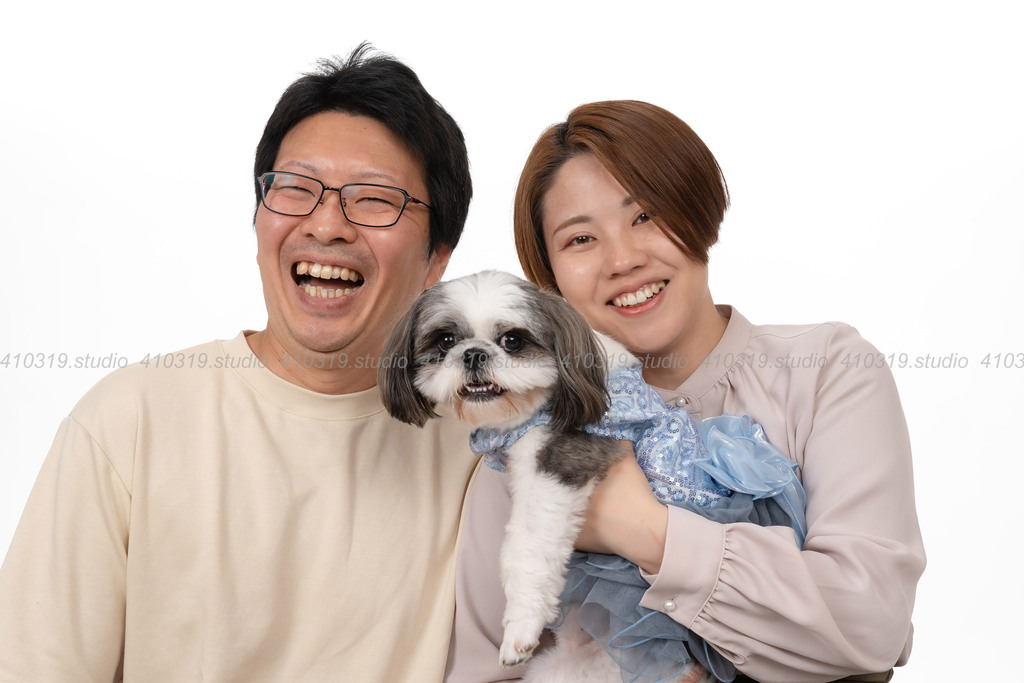 シーズー 410319.studio
