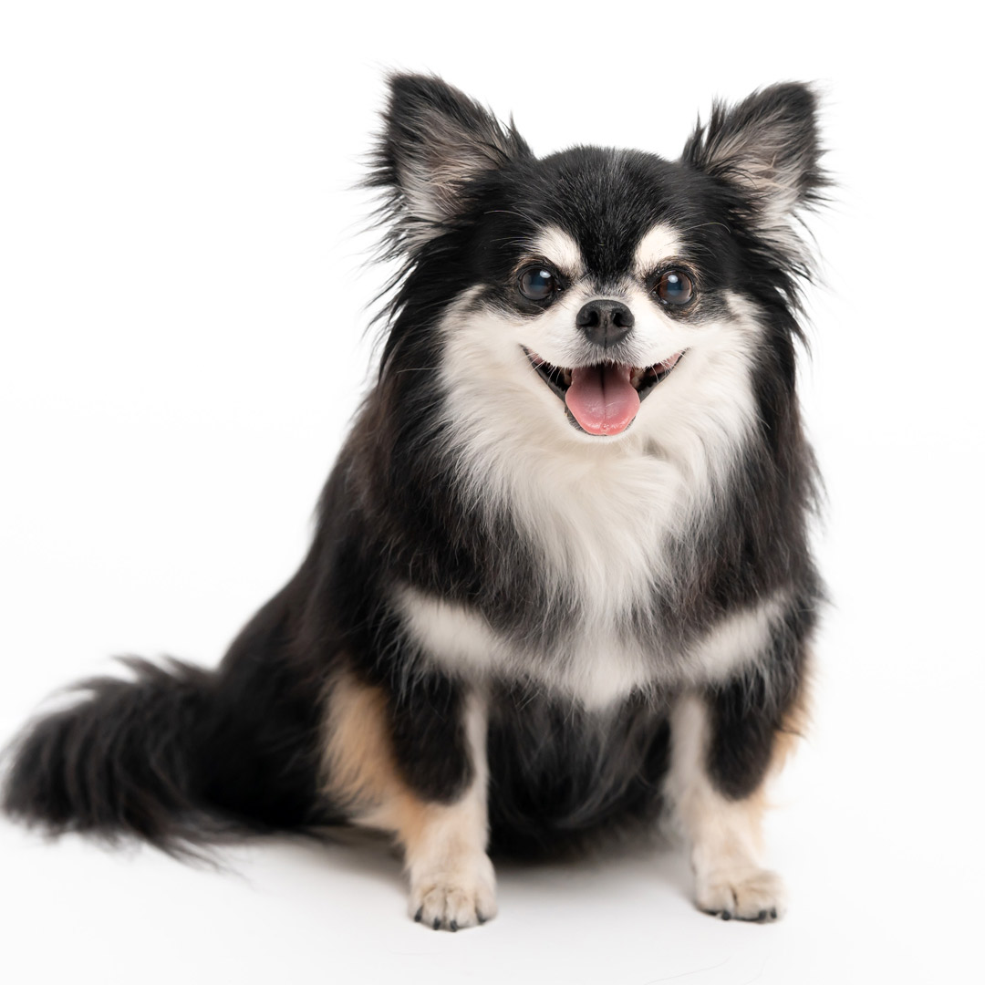 ふぉとさいく撮影サンプル6