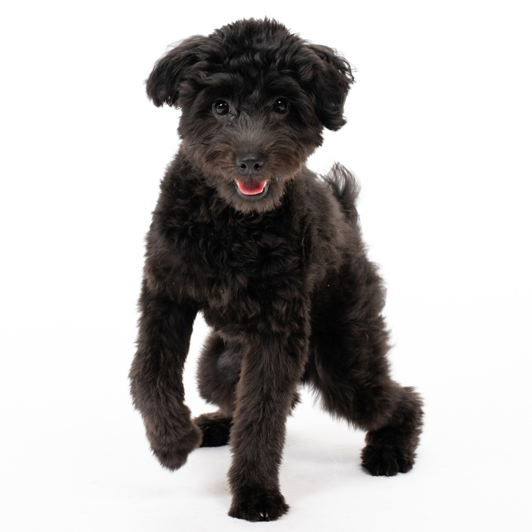 ふぉとさいく撮影サンプル2"