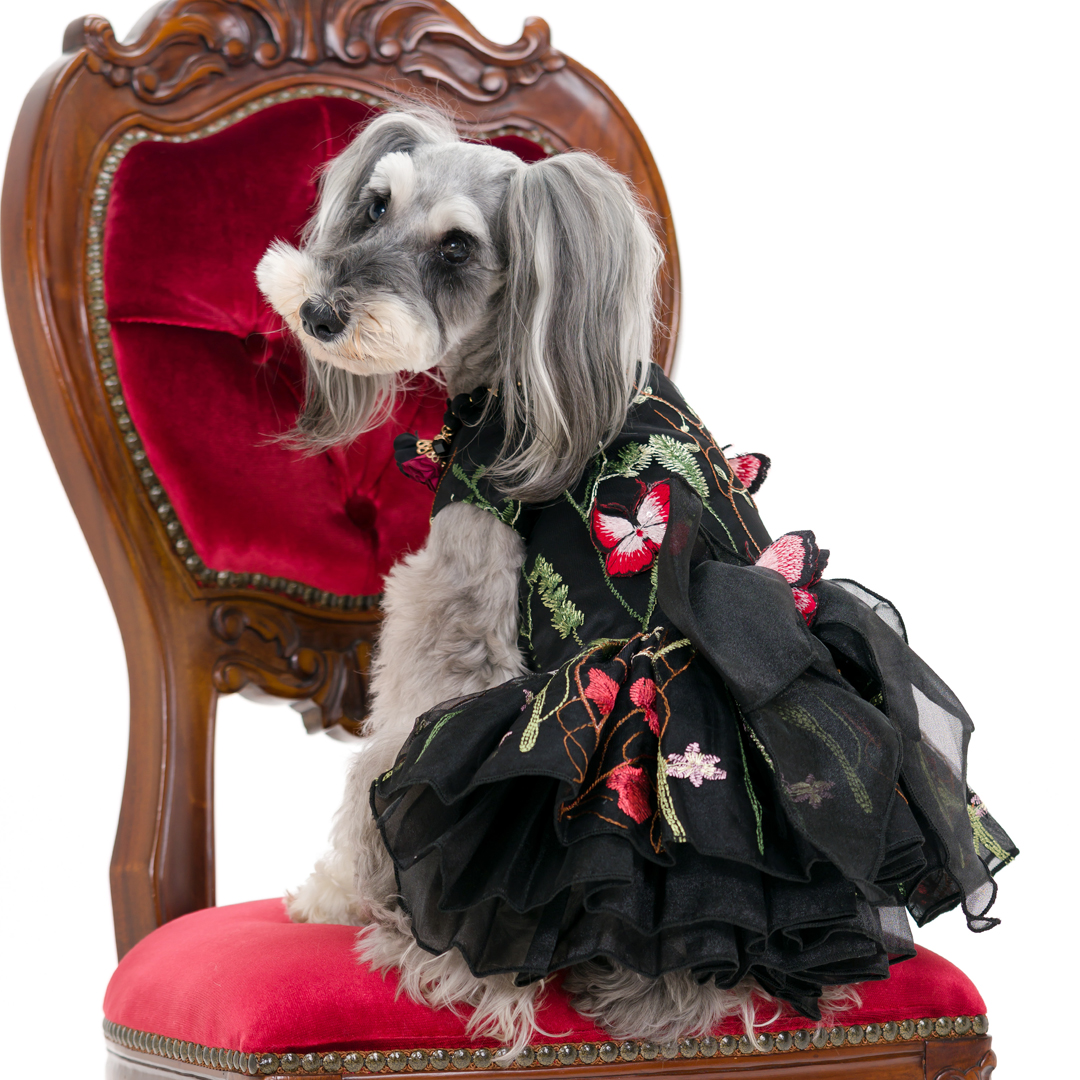 ふぉとさいく撮影サンプル1