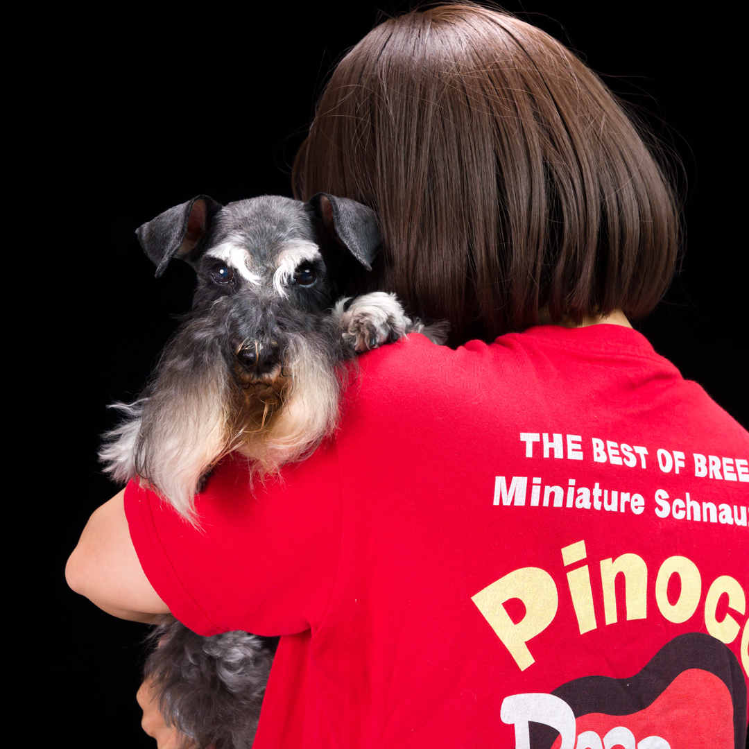 ふぉとさいく撮影サンプル5"