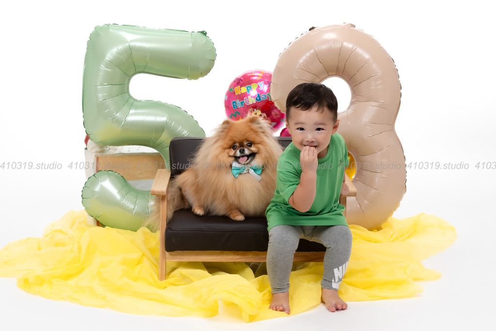 ポメラニアン 41319.studio