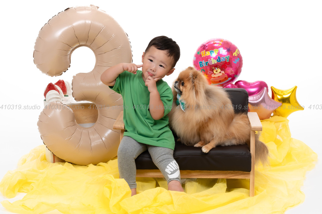 ポメラニアン 41319.studio