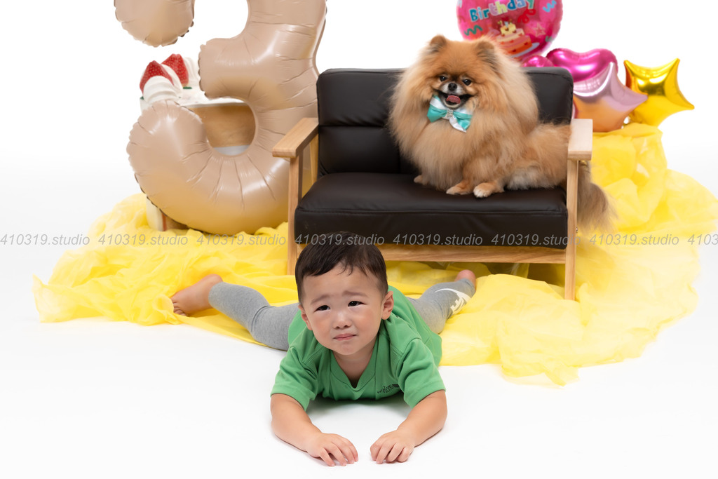 ポメラニアン 41319.studio