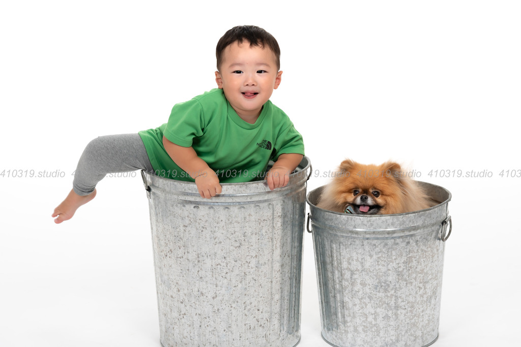 ポメラニアン 41319.studio