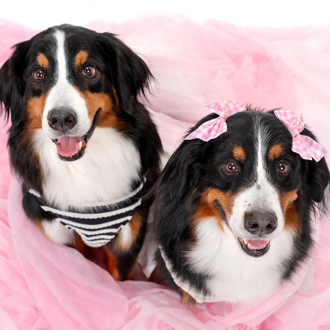 ふぉとさいく撮影サンプル1