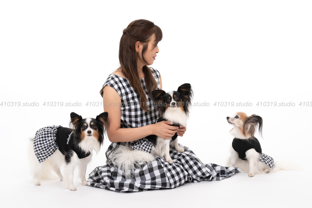 パピヨン 410319.studio