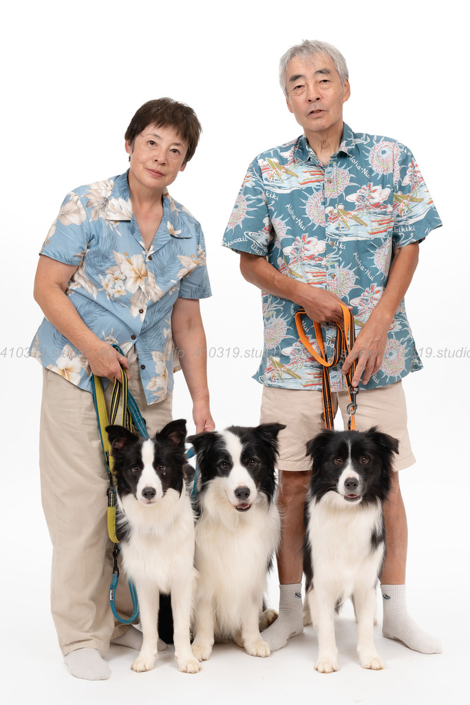 ボーダーコリー 410319.studio