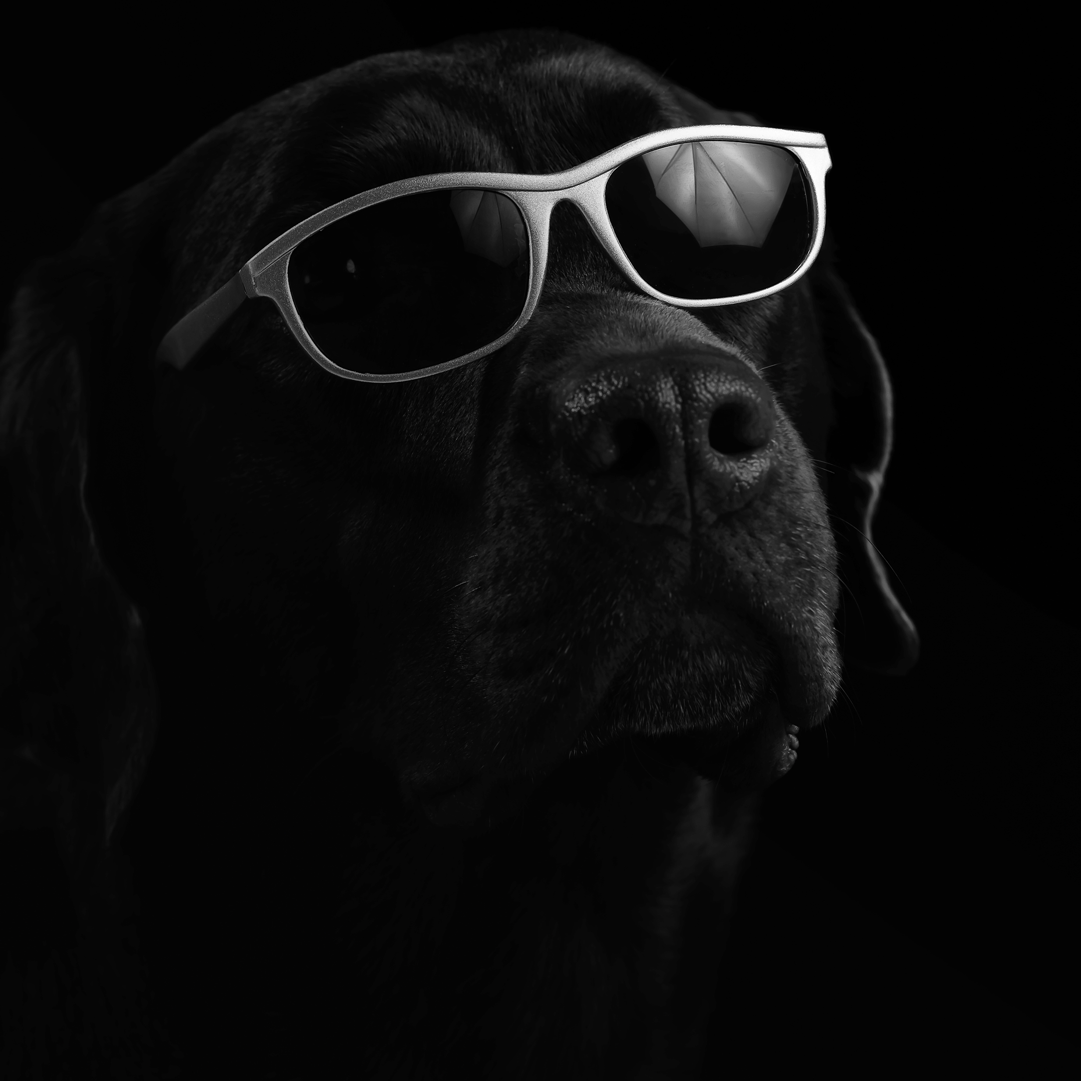 ふぉとさいく撮影サンプル