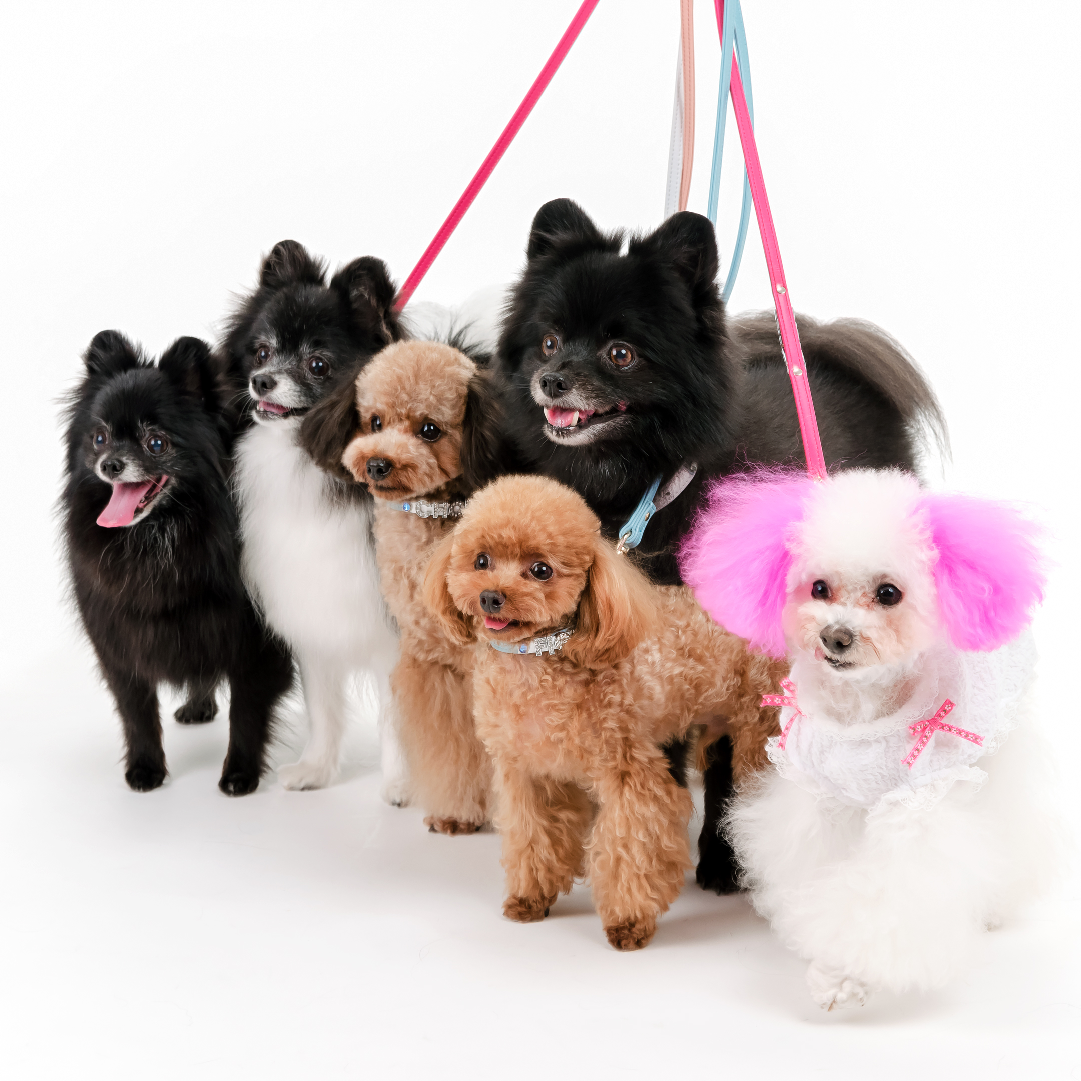 ふぉとさいく撮影サンプル"