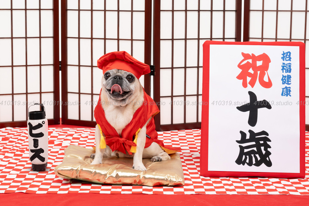 パグ 410319.studio