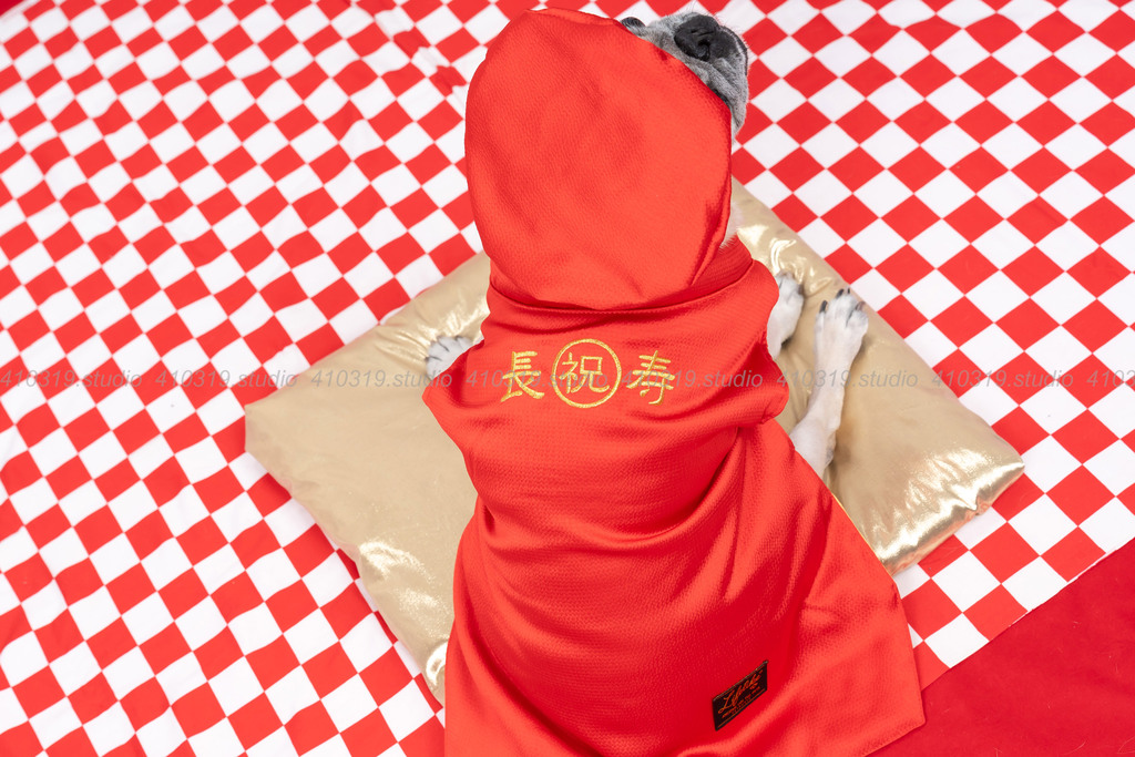 パグ 410319.studio