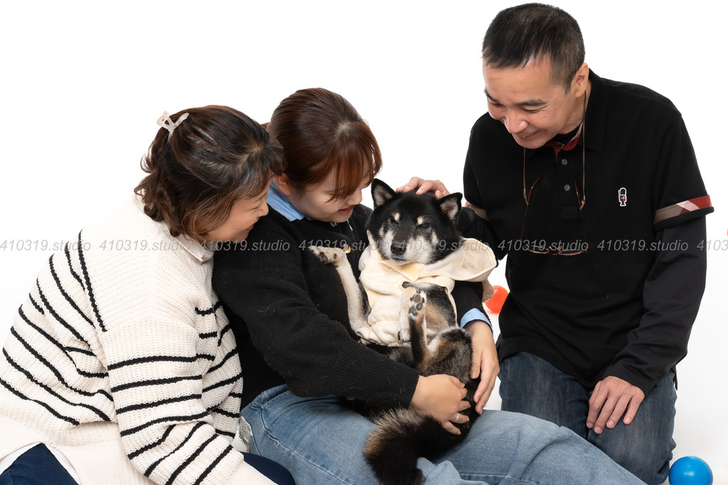 柴犬 410319.studio