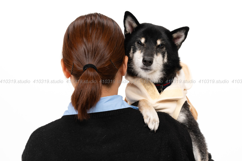 柴犬 410319.studio