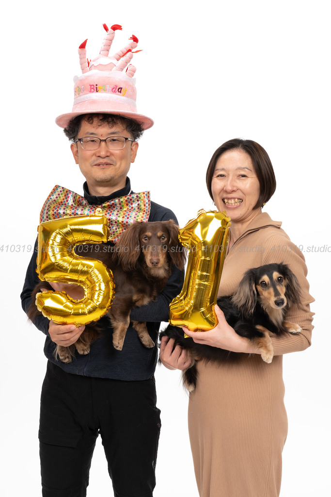 ミニチュアダックス 410319.studio