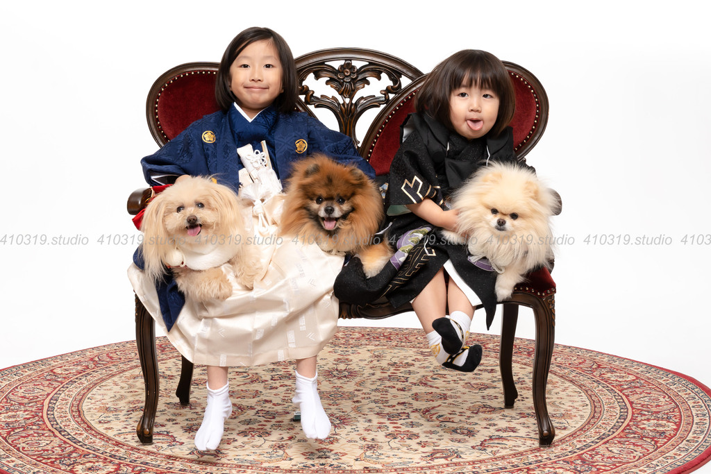 ポメラニアン ポメプー 410319.studio