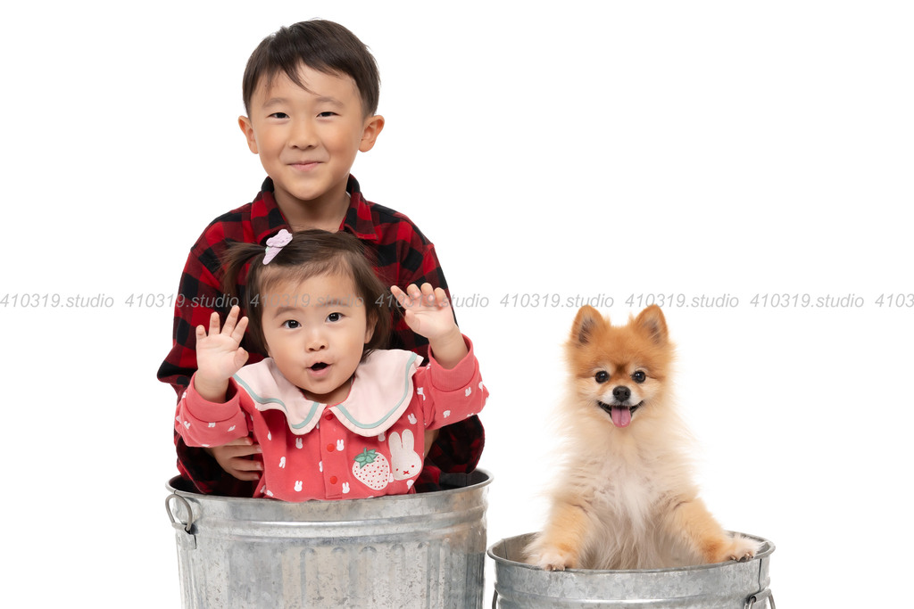 ポメラニアン 410319.studio