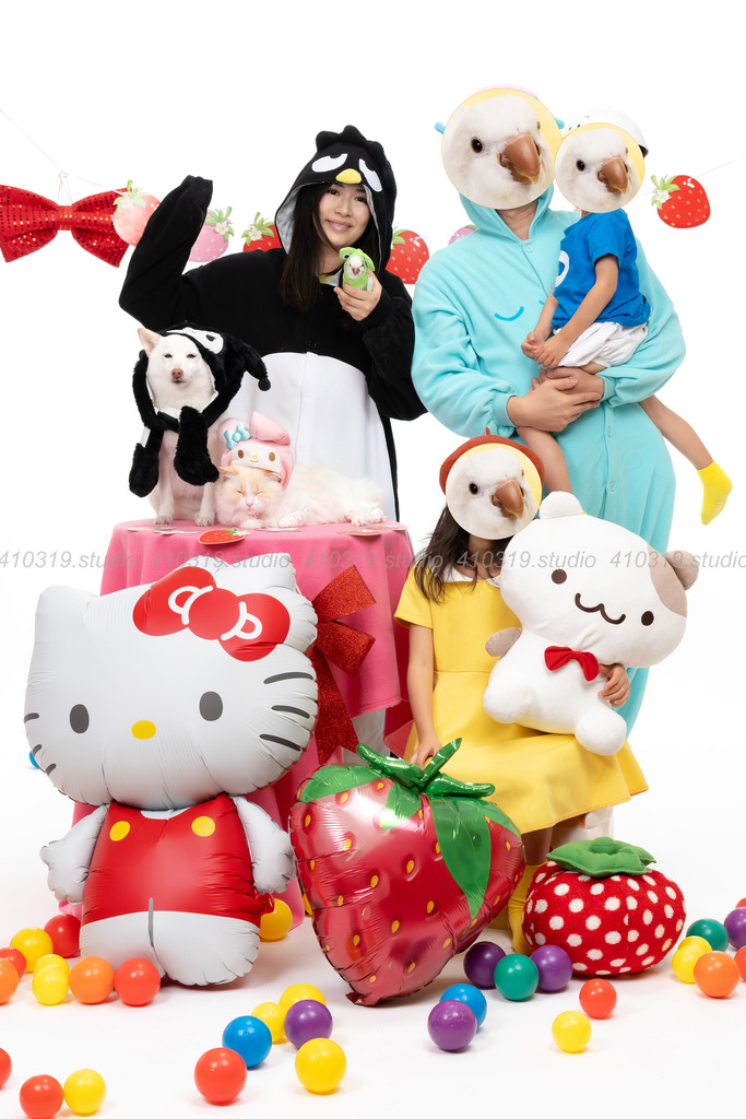 柴犬 ラグドール オキナインコ 410319.studio