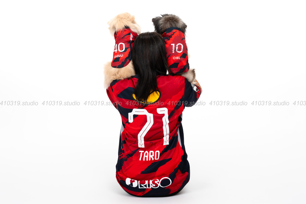 チワワ 410319.studio